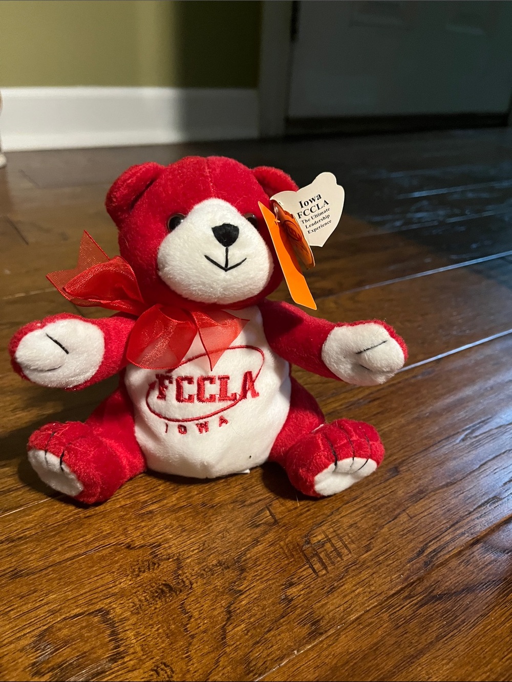 Red and White FCCLA Iowa Plush Bear